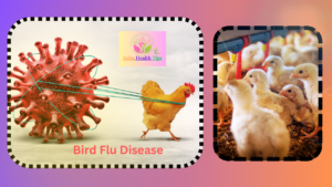 Bird Flu Disease - బర్డ్ ఫ్లూ వ్యాధి..