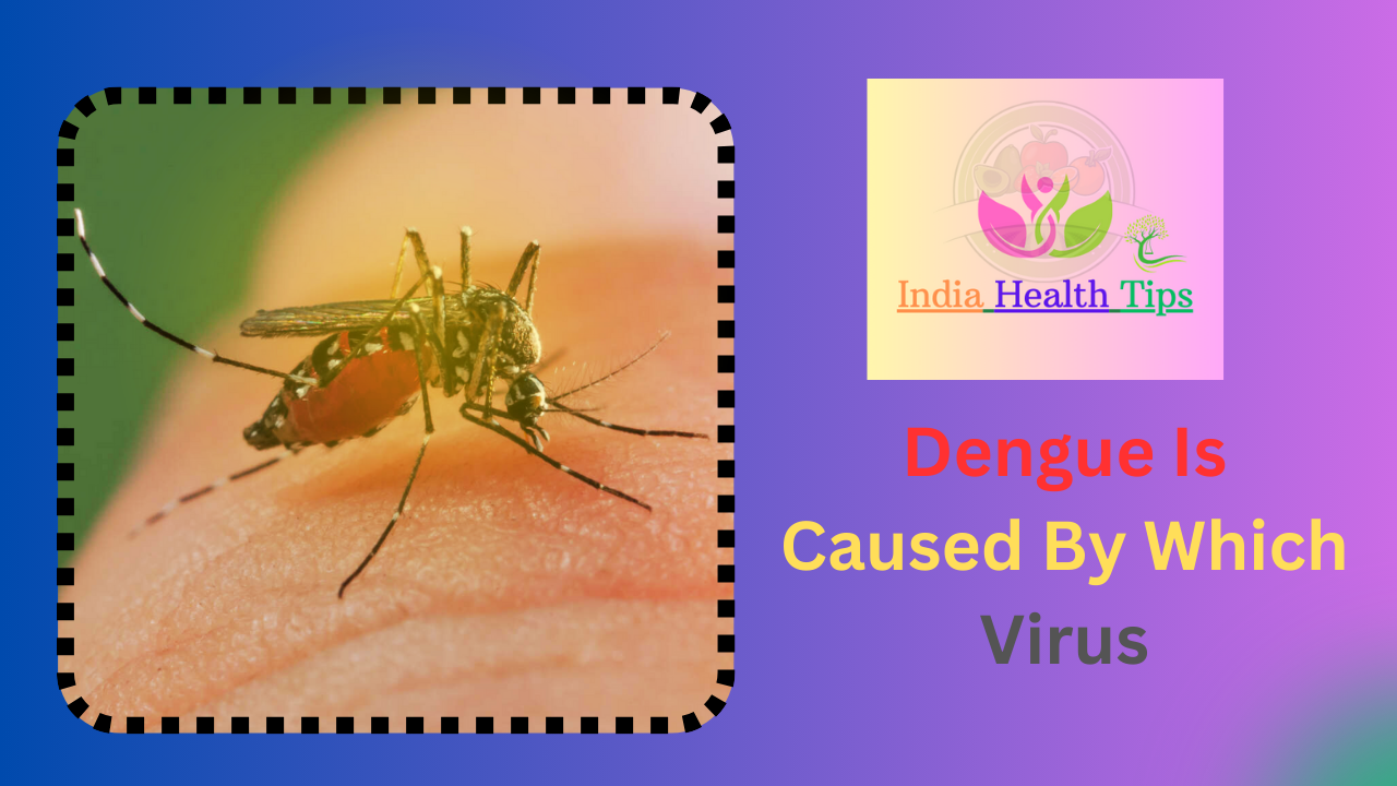 Dengue Is Caused By Which Virus - డెంగ్యూ ఏ వైరస్ వల్ల వస్తుంది..