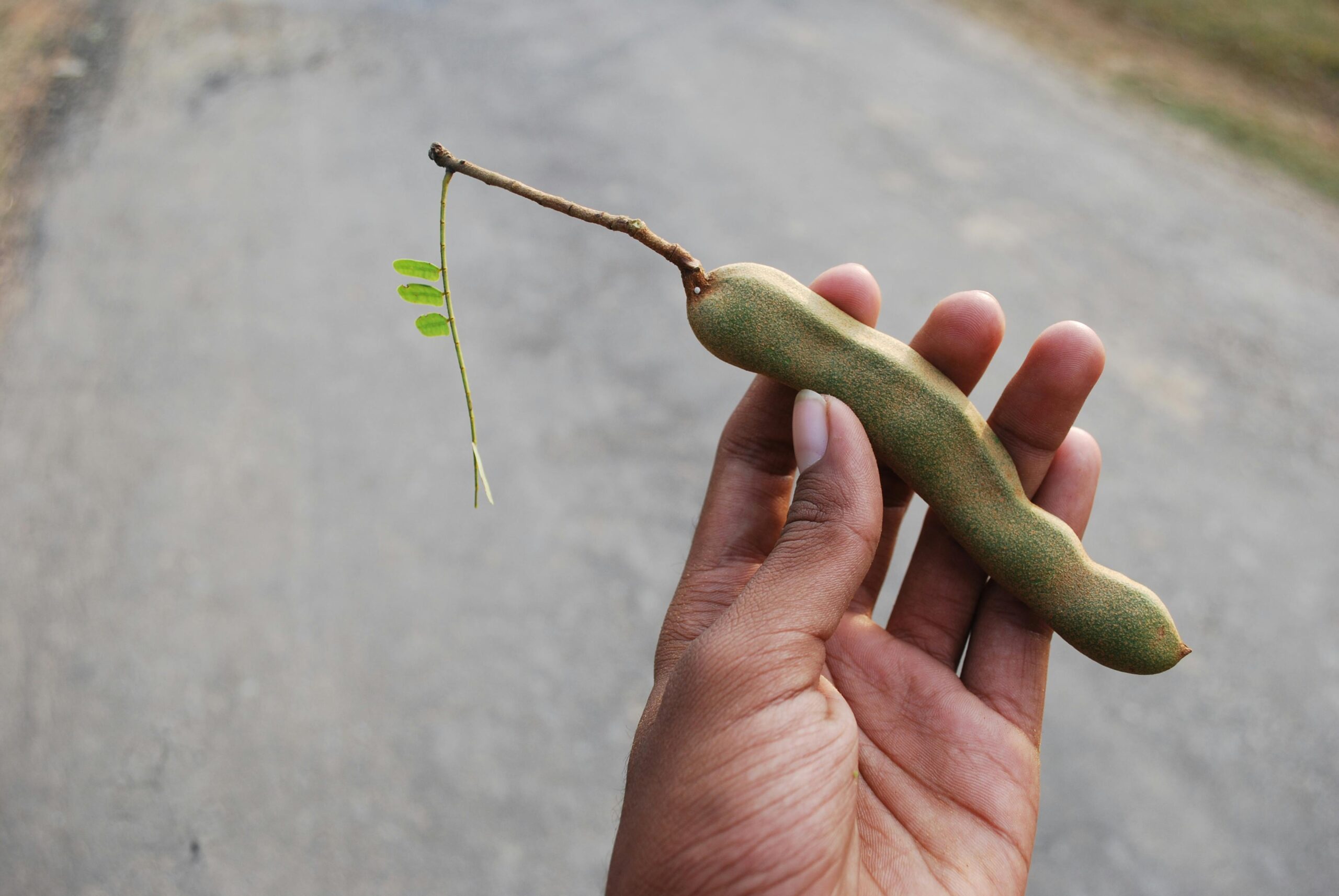 Tamarind - చింతపండు అనవసరంగా వాడటం వల్ల టూత్ పాలిష్ కు హాని కలుగుతుందా?